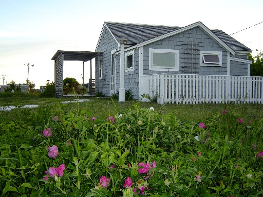 View from private road
