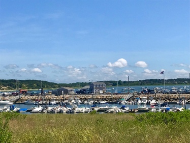 Wellfleet Inner Harbor view